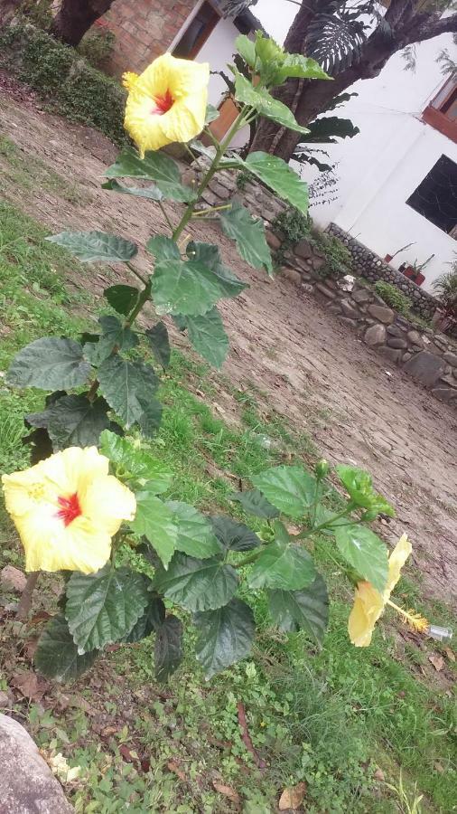 Residencial Valle Sagrado-빌카밤바 외부 사진